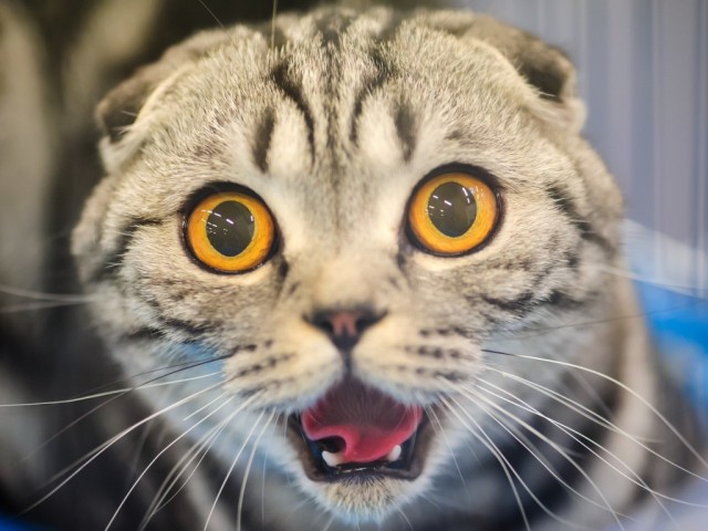 972