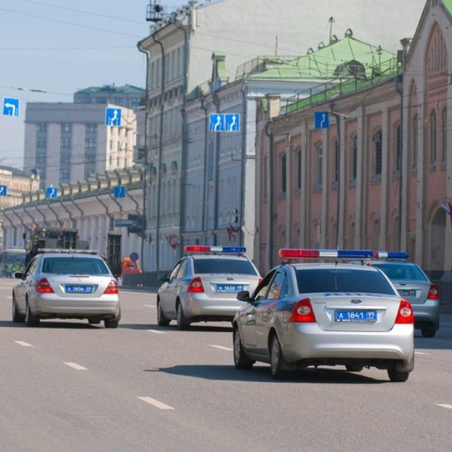 6 dpsalyanova