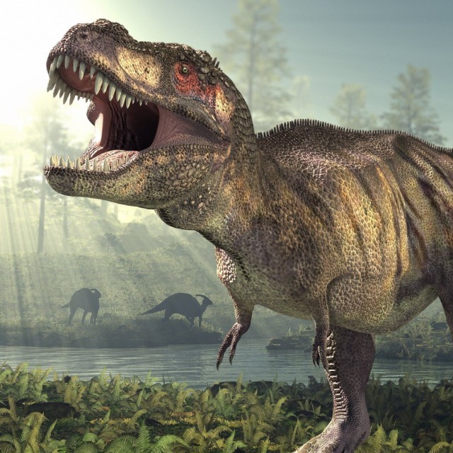 2 456345T-Rex