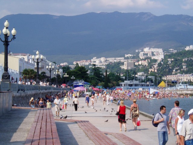5 456456avg-2 (copy)