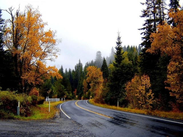 desktopwallpapers.org.ua-4277