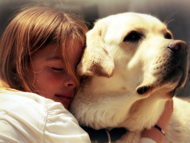 People_Children_Girl_hugs_dog_034877_