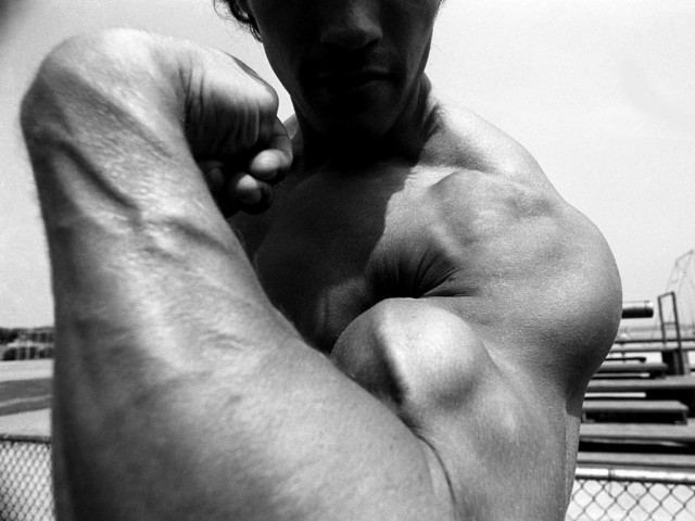 Arnold30