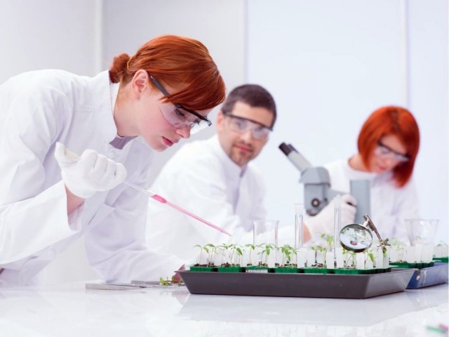 students experimental studies