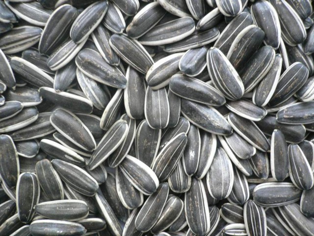 395