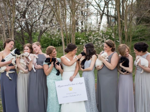 © Discover Love Studios - Brittany Boland - www.discoverlovestudios.com