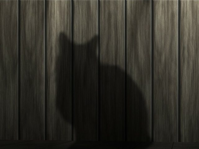 cat-233367_1280