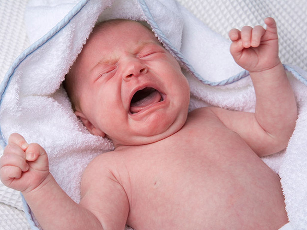 Картинка тимофей втяни щеки