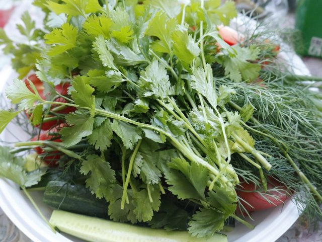 greens-2933199_1280