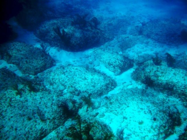 bimini2-1024x769