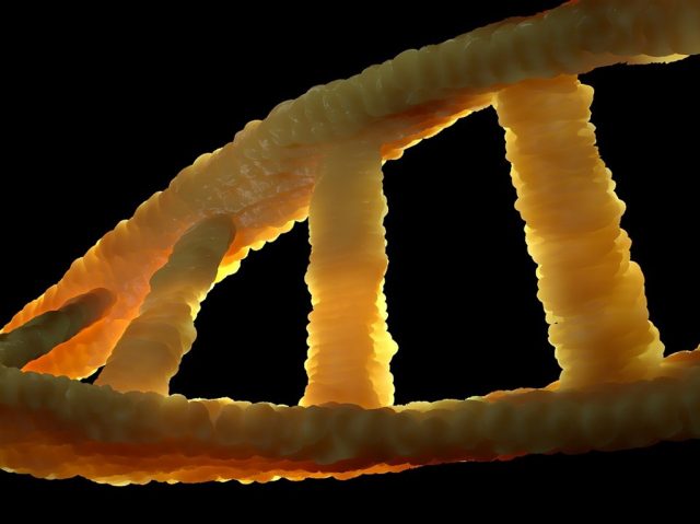dna-1388696_1280