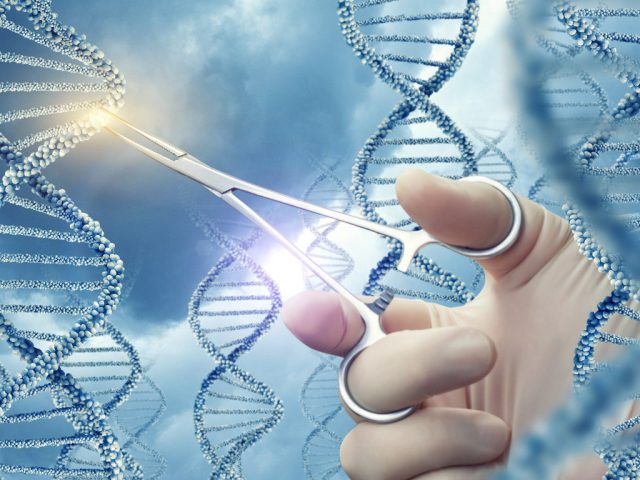 Doctor touched medical clamp a DNA molecule.