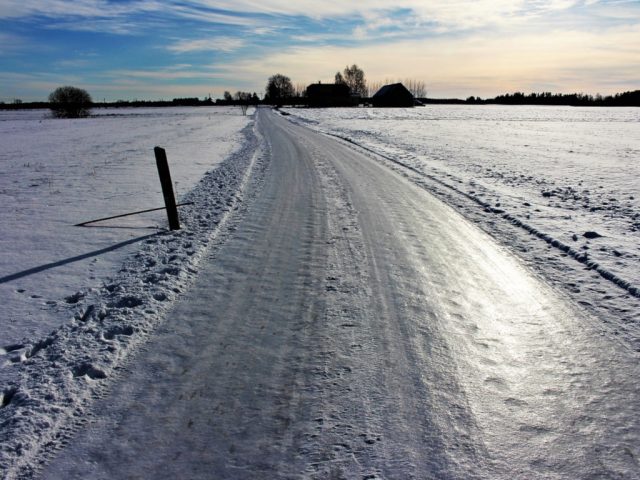 Голуби на дороге фото