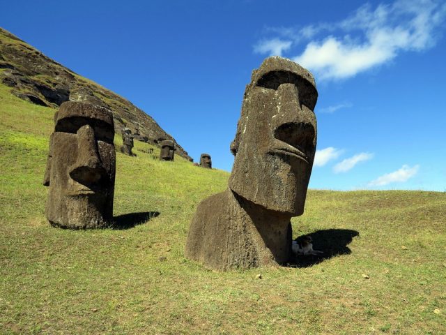 28 676