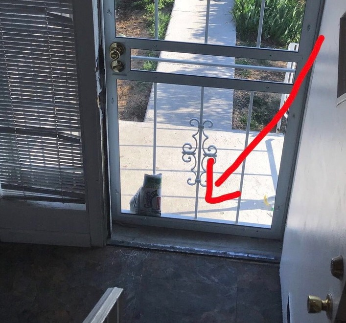 I keep thinking. Cat at Door.