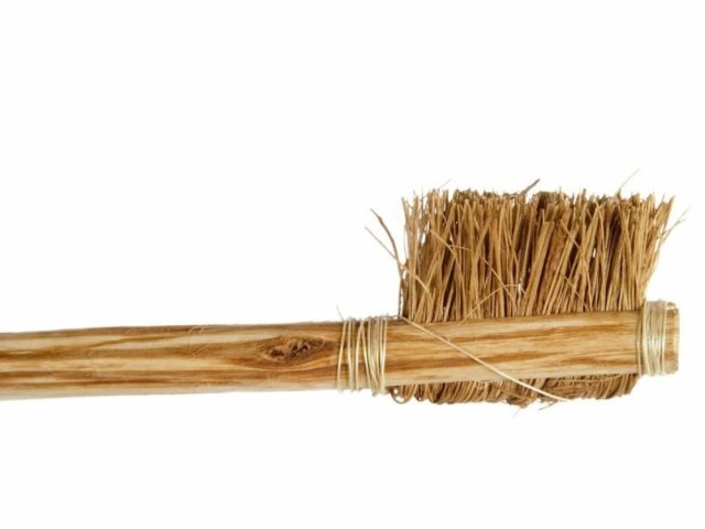 m09. shutterstock_1043220-1024x683