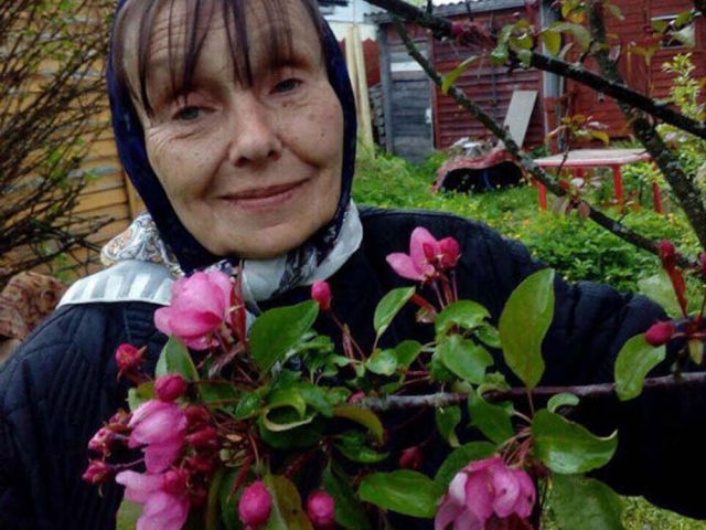 Стерникова