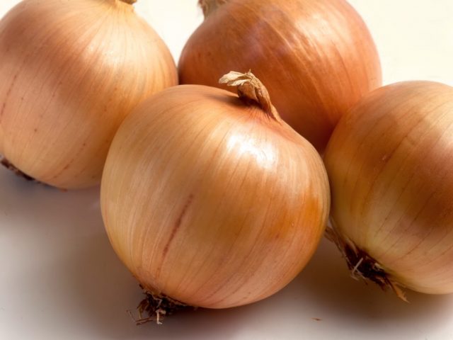 520