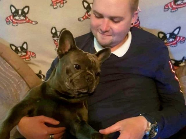 ccelebritiesfotodog-dies-after-owner-3