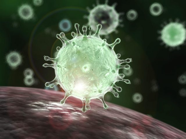 sciencesource_ss2413465