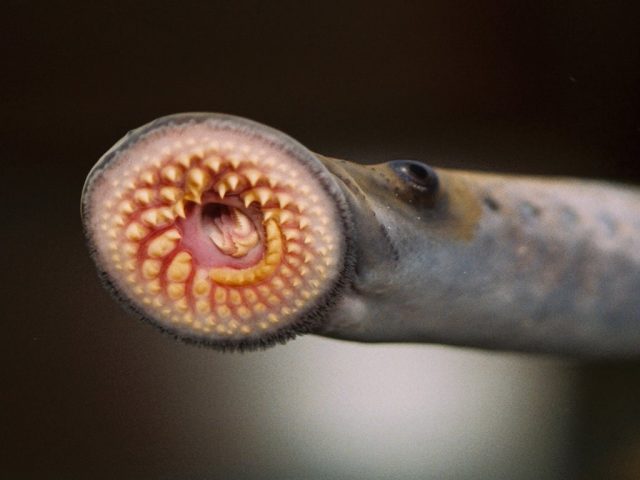 930