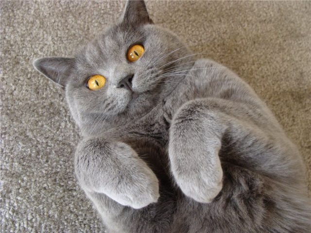 137