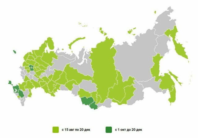 Россиянам частично компенсируют затраты на внутренний туризм