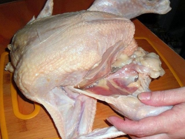 курица