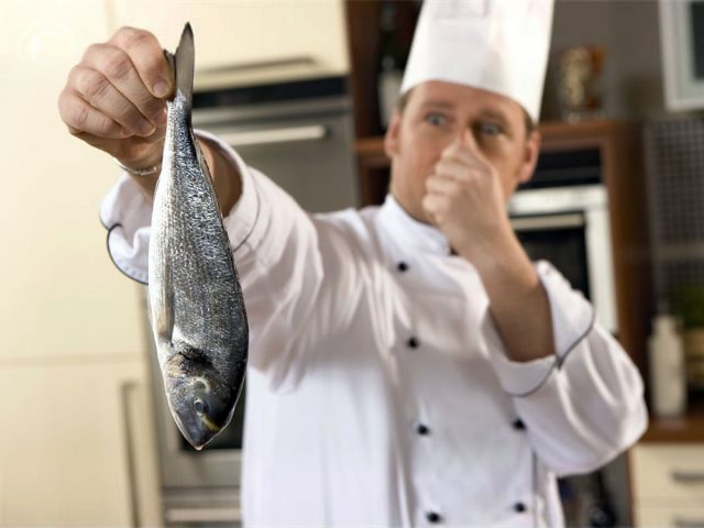 fish