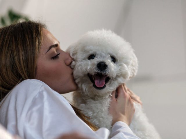 pet